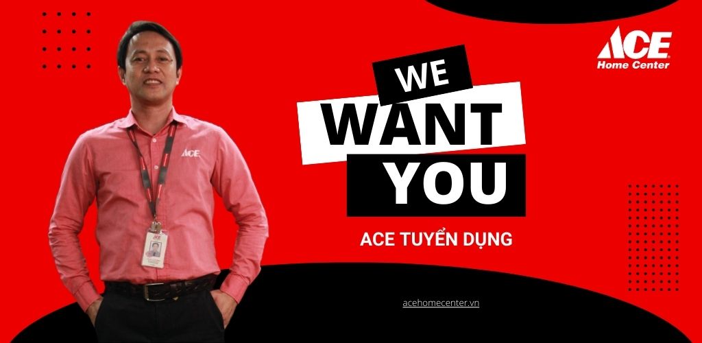 ace tuyển dụng 